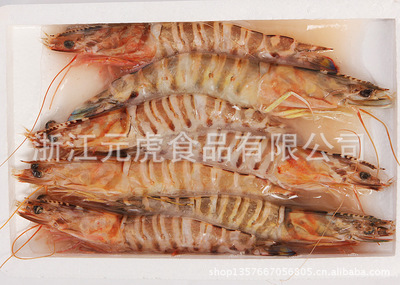 浙江元虎食品 优质冰冻水产供应，源头厂家直供，鲜活冷冻一站式采购