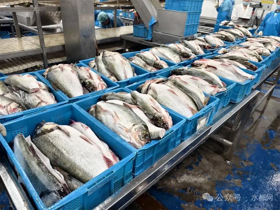 湖北博奥食品股份 专业水产品加工的领航者