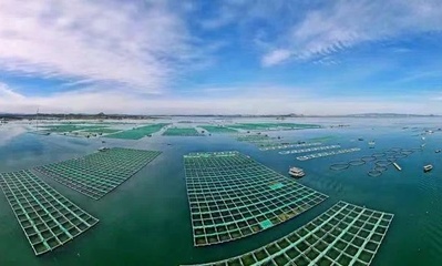 福建漳州多样化海水养殖模式锻造百亿渔业水产品