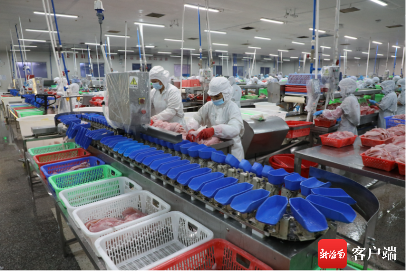 起跑稍慢，海南预制菜能否凭后劲奋起直追？——以水产品为突破口