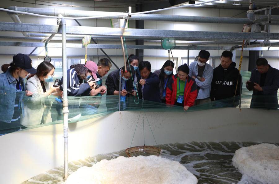 科技赋能蓝色经济 渤海水产引领环保高效新生产模式